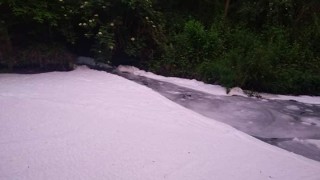 Експерти от РИОСВ Перник и представители на община Перник са извършили