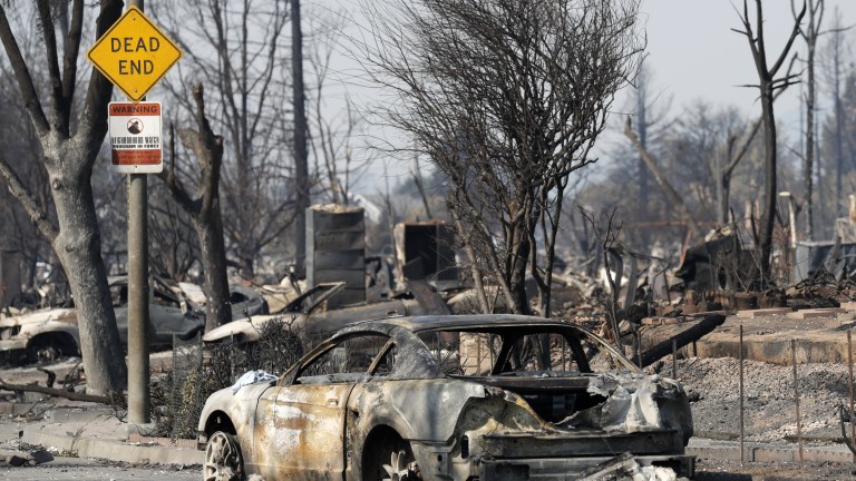 Изображение 319109