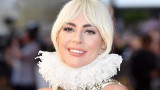Лейди Гага, отвлечените кучета, арестът на виновните и разкритията на разследващите