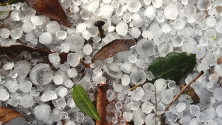 Не много обичайно явление бе отбелязано днес вследствие на циклона