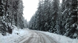 Силен снеговалеж има и в природен парк Витоша Пътят между