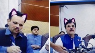 "Котешките" филтри влязоха в политиката
