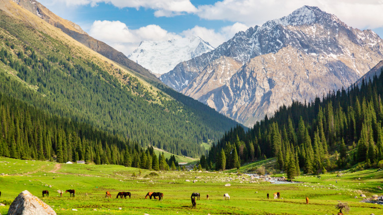 Изображение 759509