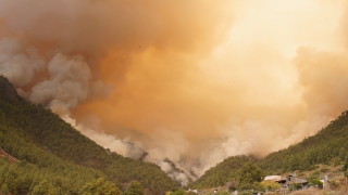 Горският пожар който в сряда се разпространи на 1800 хектара