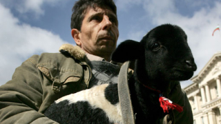 Министър Греков: Никога не сме обещавали 70% изплащане на субсидиите сега