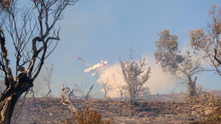 Гръцките власти арестуваха 13 души във връзка с горски пожар