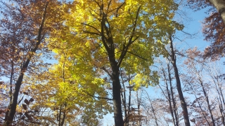 Днес ще преобладава слънчево време с временни увеличения на облачността