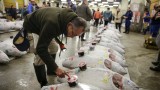 В Япония продадоха за $323 хиляди първата за годината риба тон