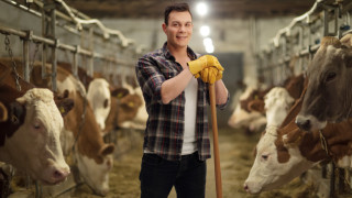 Най големият производител на мляко в света живее в САЩ това