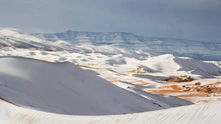 Сняг падна тази неделя в района на алжирския град Айн