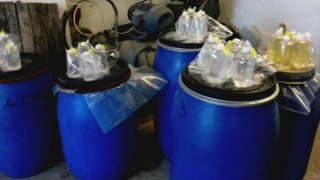 Откриха стотици литри контрабандна ракия в куриерски пратки и в имот на изпращача