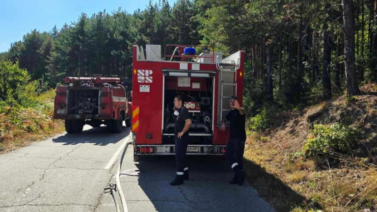 Изображение 733210