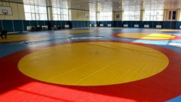 Изображение 223310