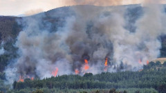 Пожар изпепели 300 дка гора край границата ни с Турция