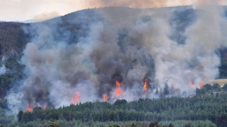 Пожарът по който бушува от дни вече е с фронт