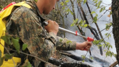 Пожар гори на границата на Старозагорска и Хасковска област