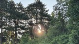 Топло и слънчево в неделя