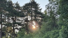 Топло и слънчево в неделя