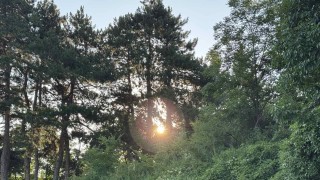 Топло и слънчево в неделя