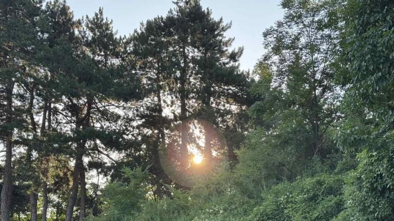 Топло и слънчево в неделя