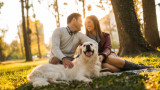 Тифани Чан и Андерс - двойката, която похарчи хиляди, за да вземе кучето си на почивка в Япония