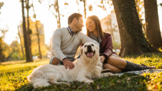 Двойката, която похарчи хиляди, за да вземе кучето си на почивка