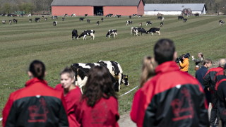 Дания няма да позволява публични събирания с повече от 500 души