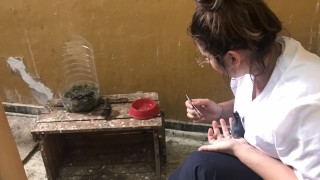 Прострелян щъркел бе спасен от природозащитници
