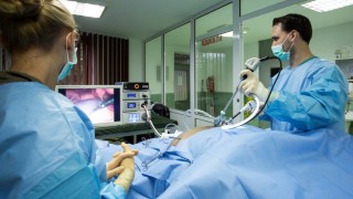 Немски екип медици извърши първата лапароскопска операция на мечка в