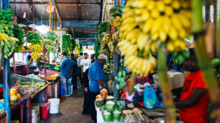 Една от най популярните туристически дестинации Малдивите ще предложат на посетителите