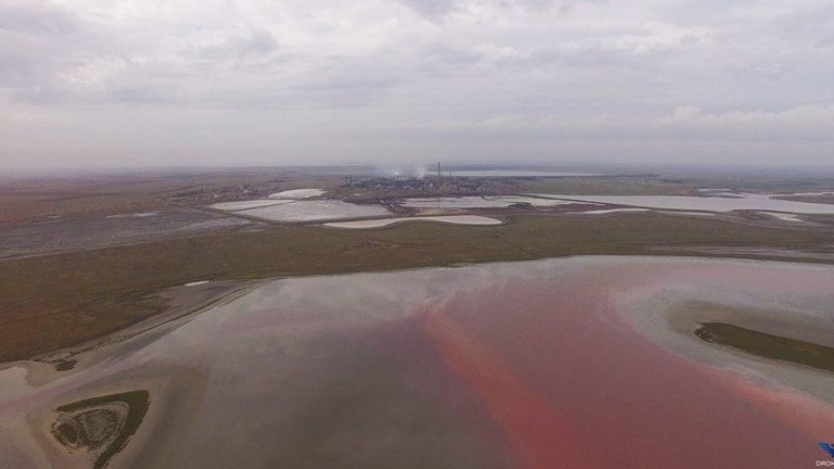 Украйна: За химическото замърсяване в Крим трябва да се произнесе ОЗХО