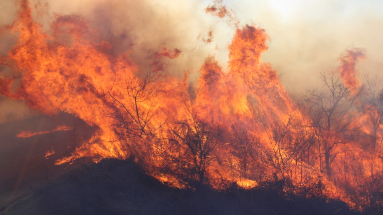 Овладян е голям пожар в землището на село Коиловци