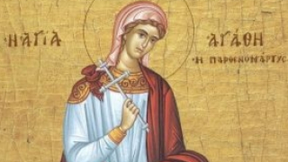 Днес имен ден празнуват всички които носят името Добрин Добринка