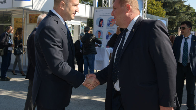 Изображение 498510