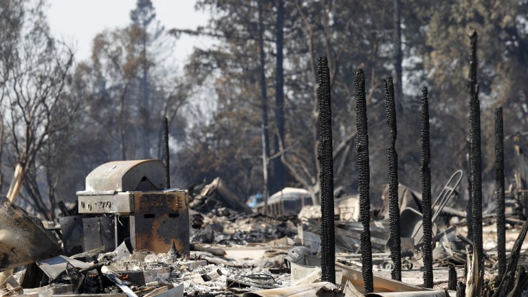 Изображение 319110