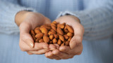 Бадеми и проучването, според което консумацията им ни кара да приемаме по-малко вредни калории