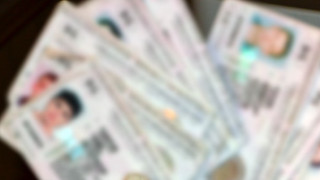 Служители от ГДБОП задържаха двама души при специализирана полицейска операция