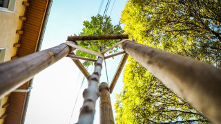 Над 2000 дървета засаждаме през есента тази година в София