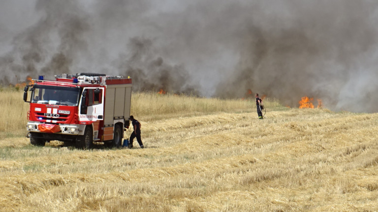 Пожарът в иглолистна гора между пазарджишките села Калугерово и Лисичово,