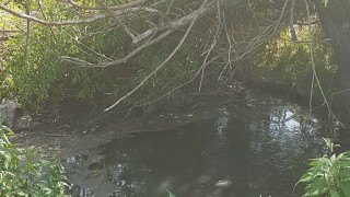 Уеднаквяване на нивото на първоначалната информираност надграждане на осведомеността и