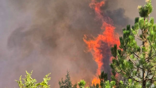 Пожарът край асеновградското с Горнослав е локализиран На място остават