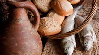 Свръхуловът и климатичните промени заплашват запасите от риба на Земята