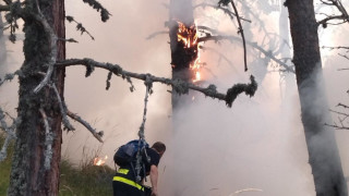 Пожарът в местността Белите скали е засегнал 2650 декара площ