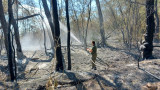  Пожарът в Ивайловградско: Ограничено е разпространяването на север и запад 