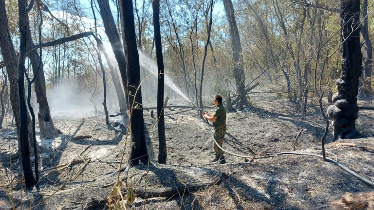 Локализиран е пожарът до военния полигон край Казанлък. Днес военните