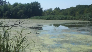 Рибата в река Ахелой умира заради слаб отток