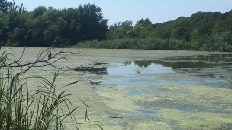 Рибата в река Ахелой умира заради слаб отток