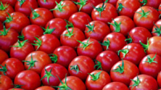 Защо българите си купуват гръцки домати?