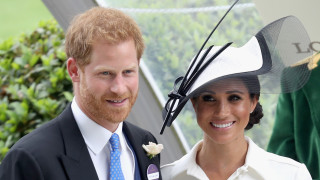 Вчера 26 август бе Международен ден на кучето И по