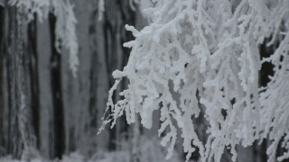 Възстановено е движението по по път I 8 София Калотина
